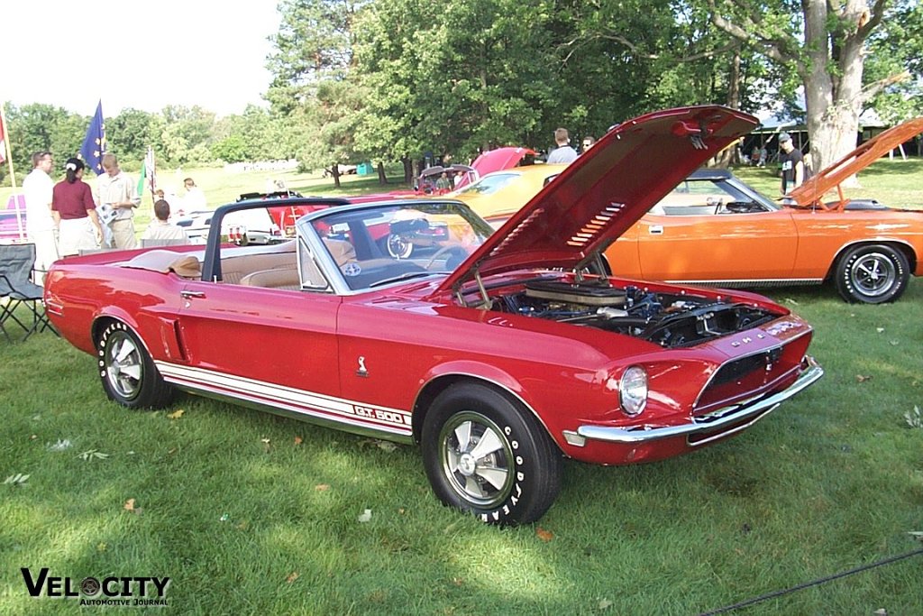 1969 Shelby Mustang GT500