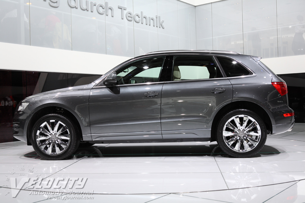 2009 Audi Q5