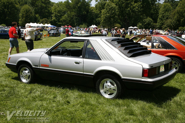 1979 Ford Mustang Cobra