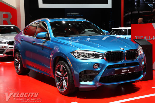 2015 BMW X6 M