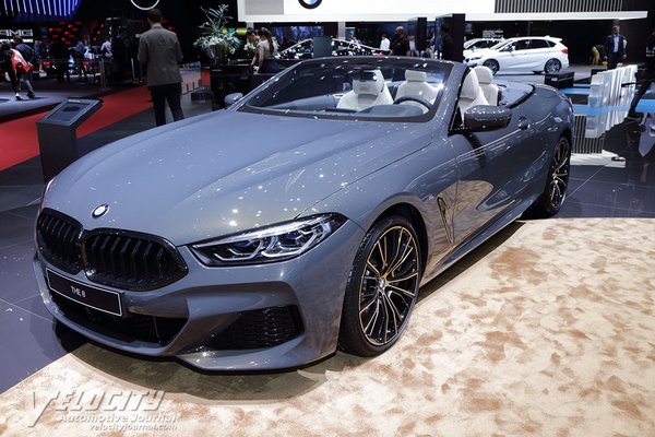 2019 BMW 8-Series convertible