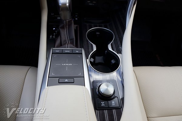 2020 Lexus RX350L Instrumentation