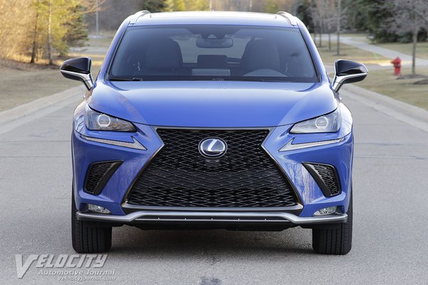 2021 Lexus NX 300H Black Line