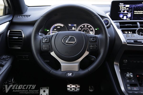 2021 Lexus NX 300H Black Line Instrumentation