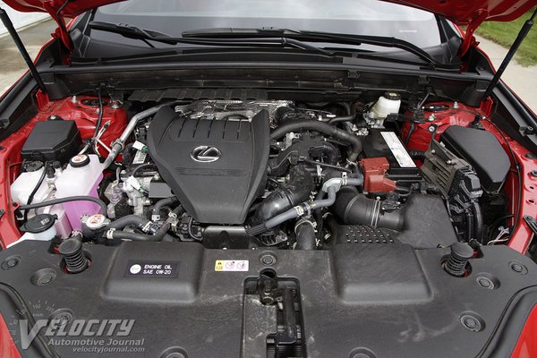 2022 Lexus NX Engine