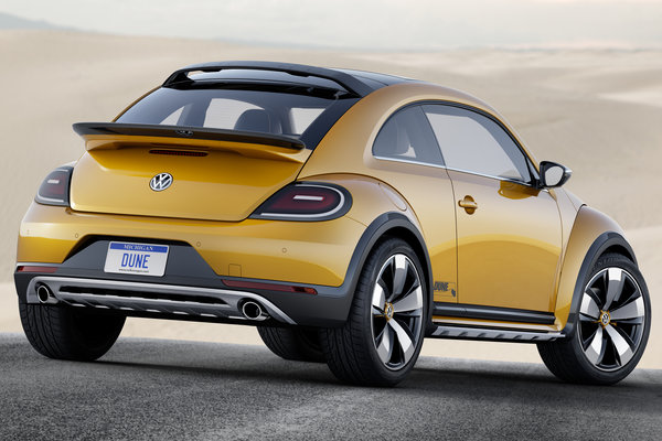 2014 Volkswagen Dune