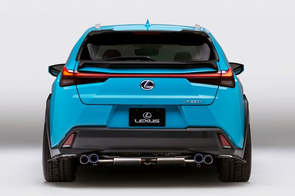 2018 Lexus UX 250h by Clark Ishihara