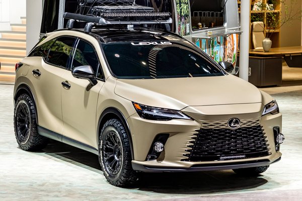 2023 Lexus RX Outdoor